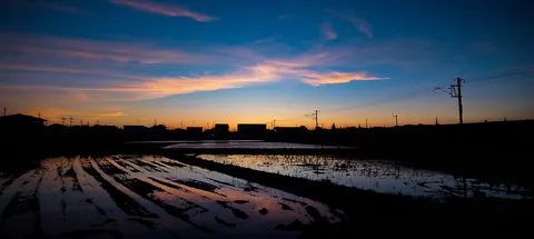 水田に映る、夕空のグラデーション