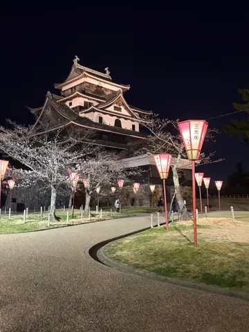 夜桜と城、幻想的な提灯ロード