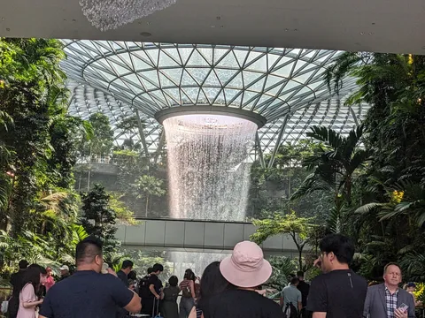 水と緑が生む室内の滝景