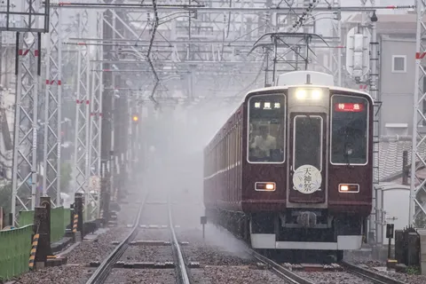 雨音と旅情
