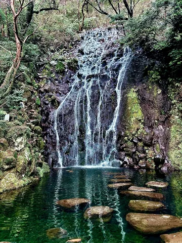 苔むす森の滝と水路