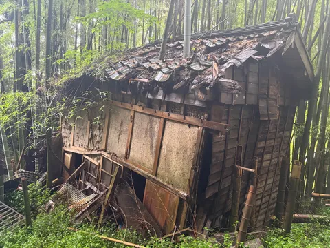森に沈む、朽ちゆく秘密基地