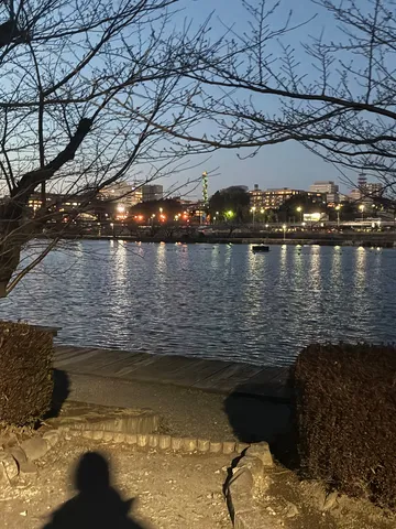 川辺の灯と静かな風景