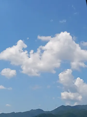 夏空に浮かぶ雲の造形美