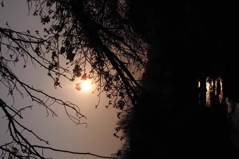 水面に輝く夕日のシルエット