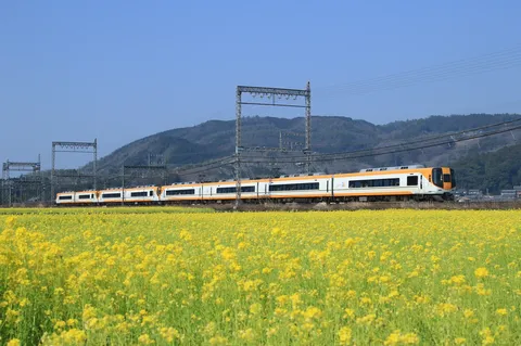 菜の花畑を駆ける列車