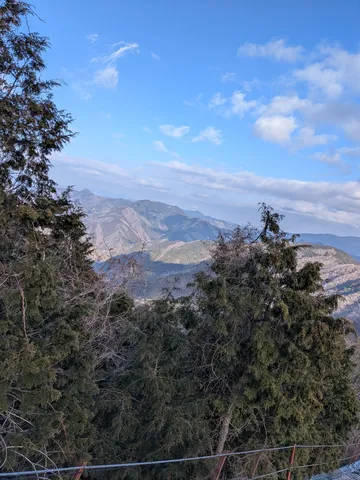 木々の隙間に広がる山々の稜線
