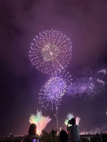 夜空に咲く紫の花火