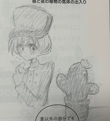 観察眼が光る、静かな時間