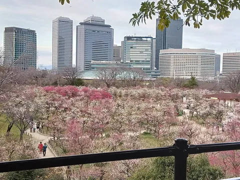 都会のオアシス、花爛漫