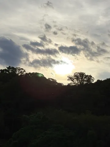 夕陽と森のシルエット