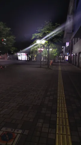 夜の街灯と木漏れ日の道