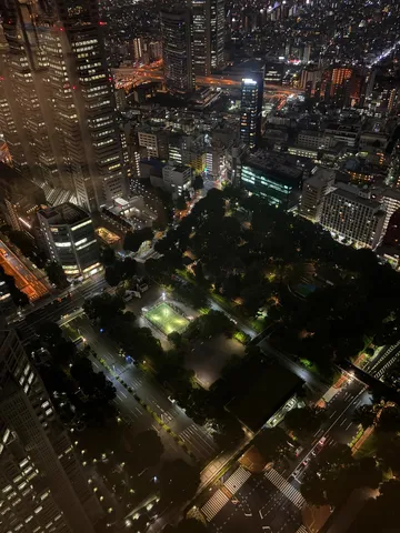 都会の灯りが織りなす夜景