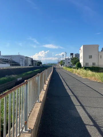 夏の終わりの並木道