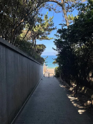 緑陰から誘う、海辺への小道