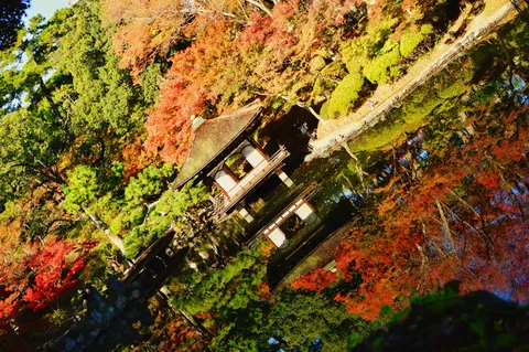 紅葉と水鏡、秋の静寂