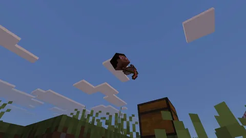 空飛ぶマイクラ人間