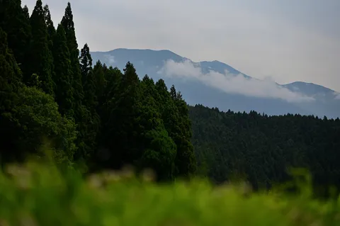 森が連なる、雲の隠れ家