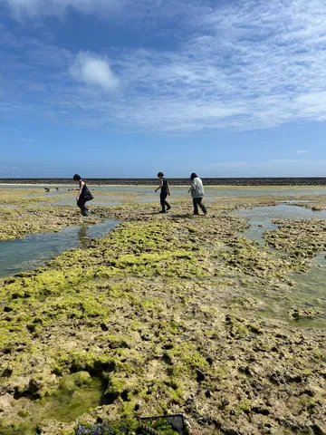 潮の引いた干潟で探検気分
