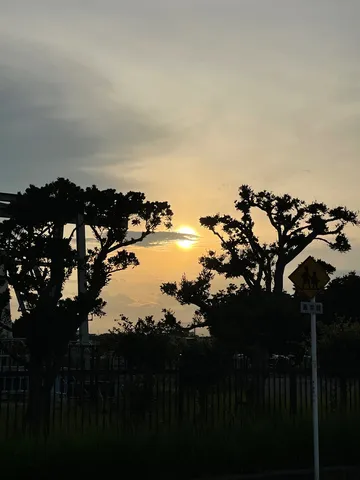 夕暮れに染まる空と木々のシルエット