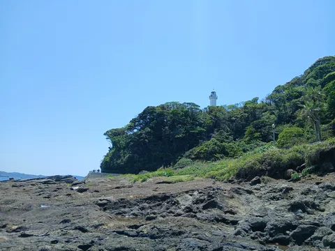 灯台と緑のコントラスト