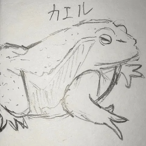 カエルのデッサン
