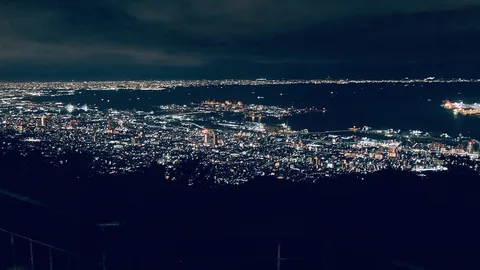 光あふれる都市の夜景