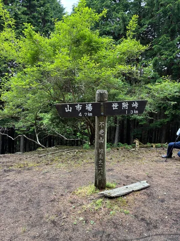森の分岐点、どちらへ行こうか