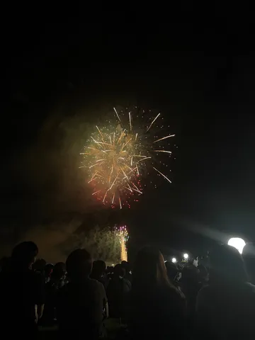 夜空を彩る光の芸術