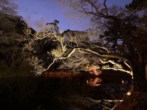 静寂の夜、水面に映る光の芸術