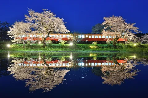 水面に映る夜桜と列車