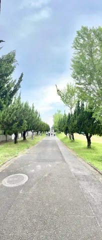 並木道と続く空