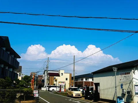 くも