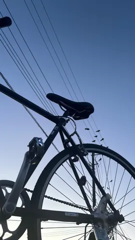 見上げた空、自転車の影