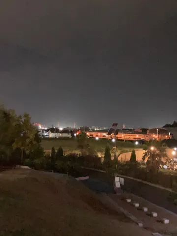 夜景と緑のコントラスト