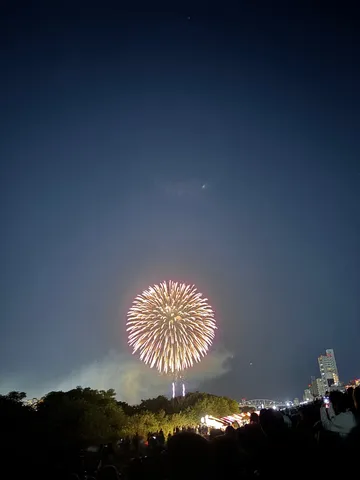 夜空に花開く光の輪舞