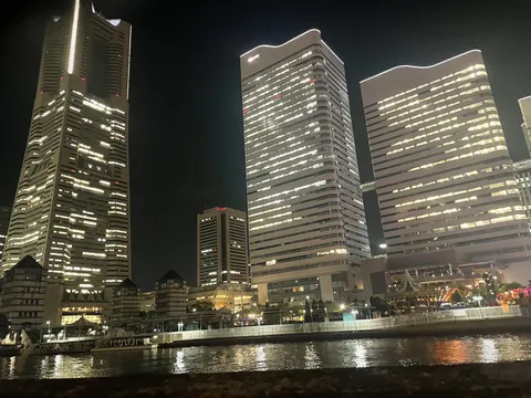 夜の水辺を映す光の群れ