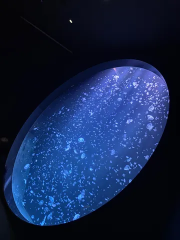 青い泡と光の世界
