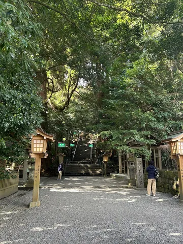 木漏れ日と石段の神聖な参道