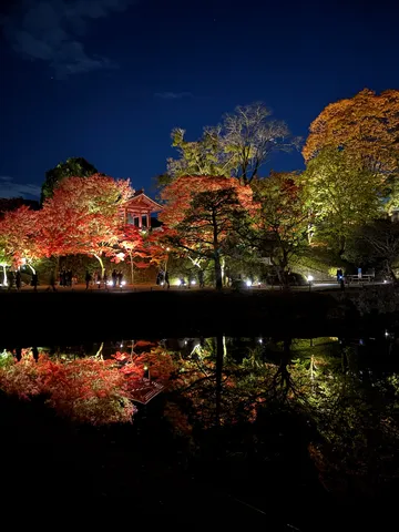 夜の鏡に映る紅葉の道