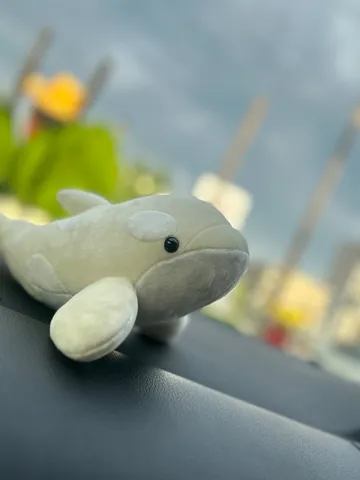 窓際を泳ぐぬいぐるみの朝