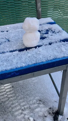 雪の日の小さな作品
