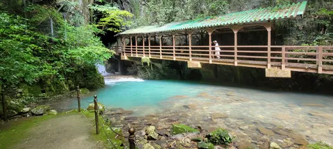 碧い水辺の回廊