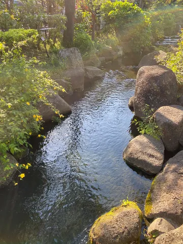 岩と水辺の小川、光のささやき