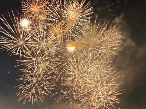 夜空を彩る華やかな光の饗宴