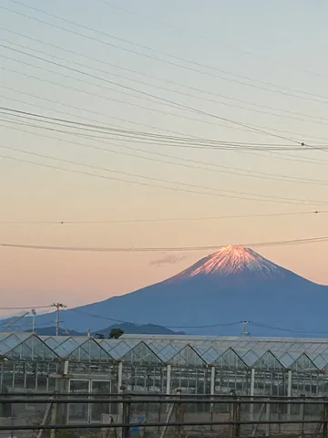 夕焼けに染まる富士山とビニールハウス