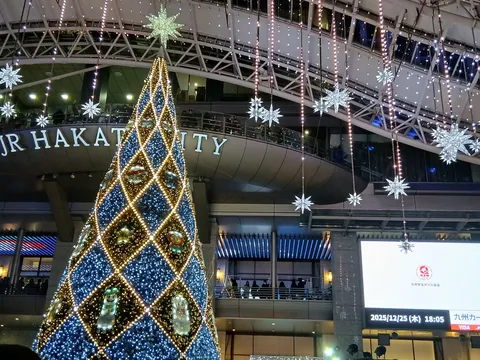煌めくクリスマスツリーと星降る夜