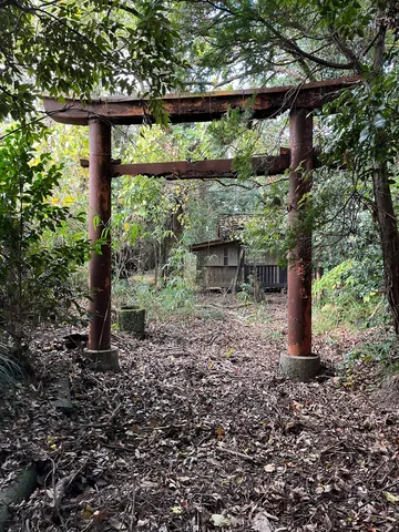 忘れられた鳥居の奥に