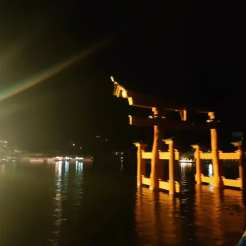 水面に映る鳥居の夜景