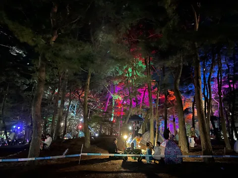 森に灯る、夜の色彩